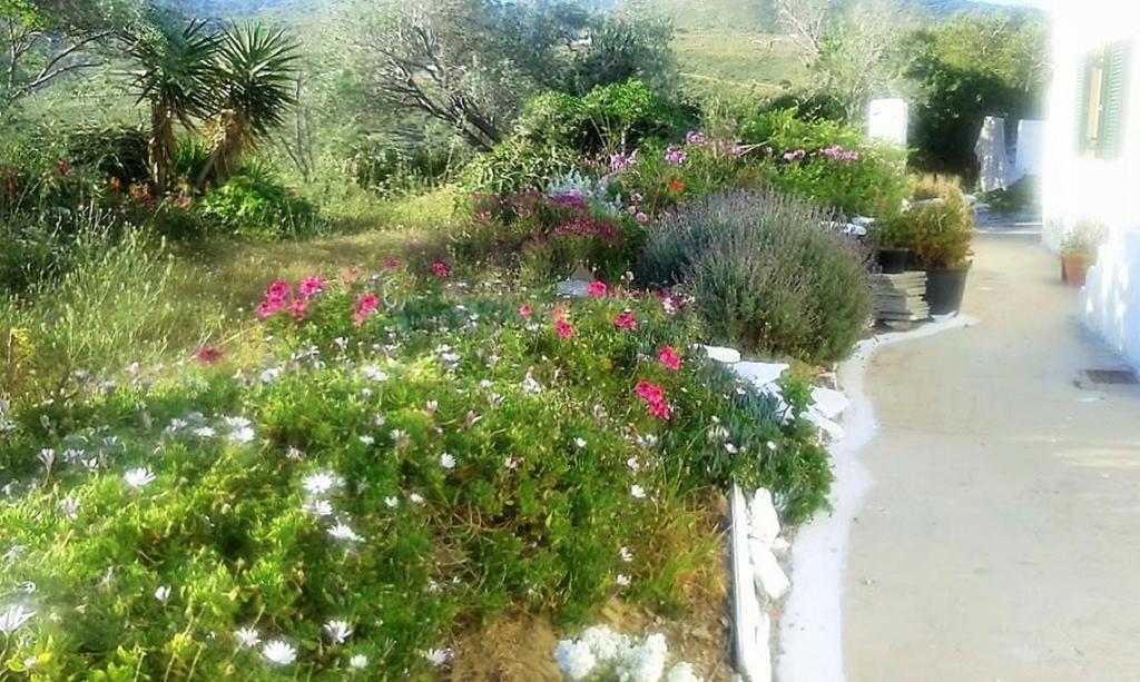 Avgoustis' Stone House Villa Otziás Eksteriør billede