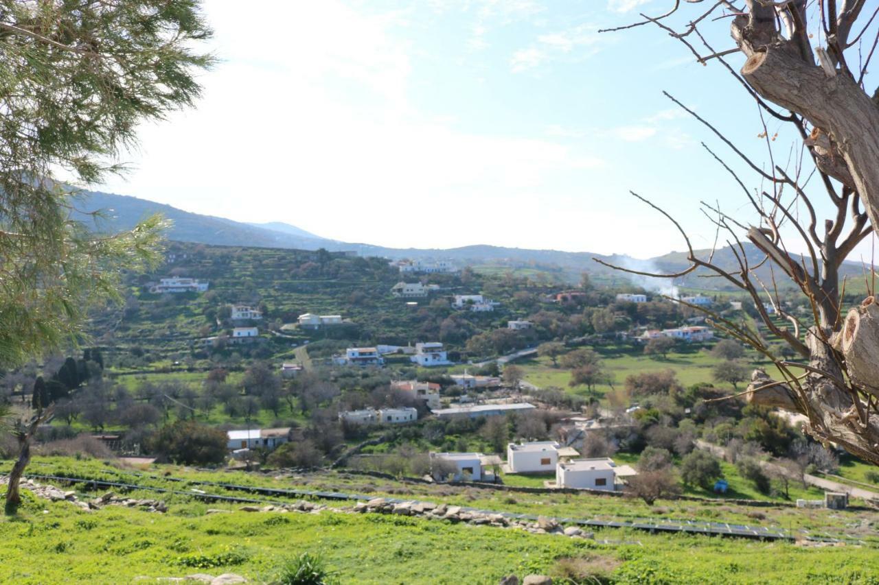 Avgoustis' Stone House Villa Otziás Eksteriør billede